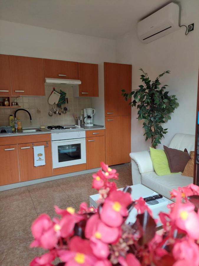 Apartman Gina Labin  Ngoại thất bức ảnh